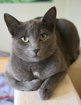 Inara dec 14