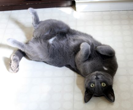 Inara dec 14-4