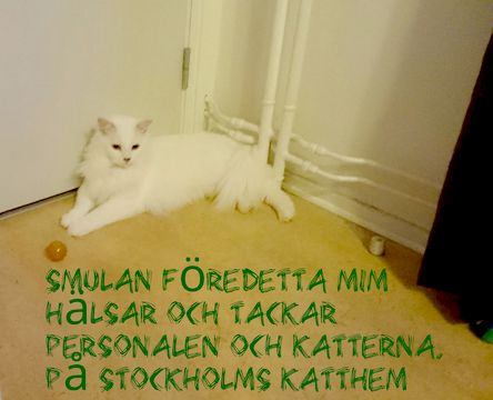Milka-Mim dec 14