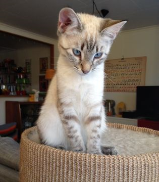 Frances dec 14-3