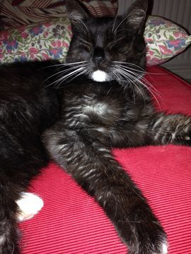 Mimmi 6 jan 15