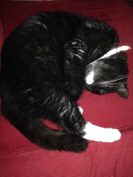Mimmi 6 jan 15-2