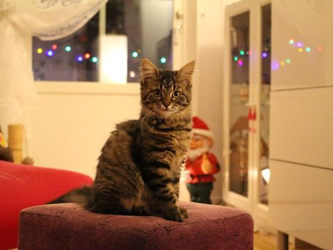 Freya jan 15-3