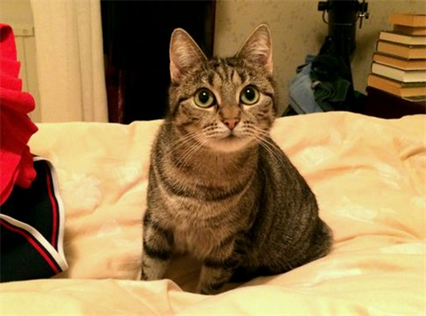 Little Jeannie - jan 15-3
