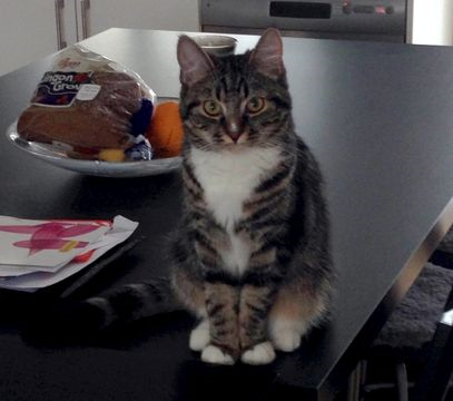 Nilli-Niantic feb 15-2
