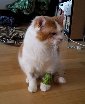 Jarmo apr 15