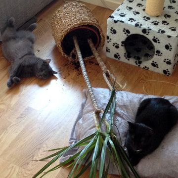 Lill-Astrid o Näpen jun 15