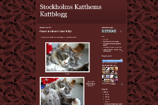 Kattblogg.jpg - kopia