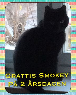 Smokey nov 15