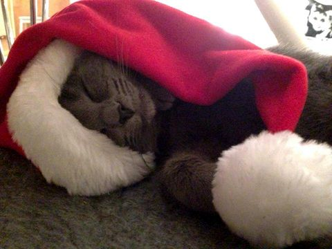Isidor-Ingevild dec 15-2