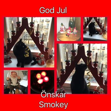 Smokey dec 15