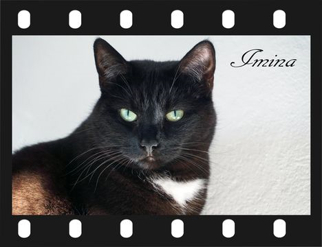 Imina-MiniMina jan 16-2