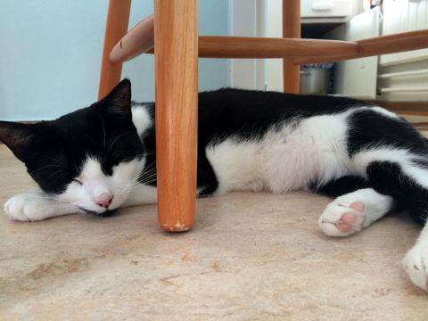 Grumpy-Sleepy apr 16-2