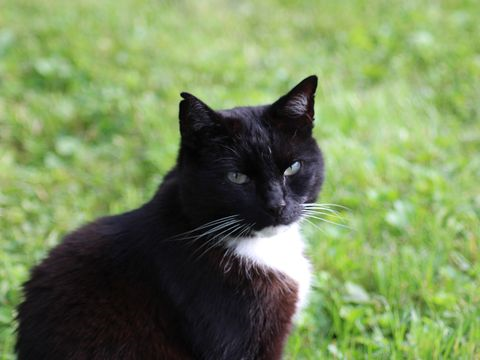 Vilmar juli 16