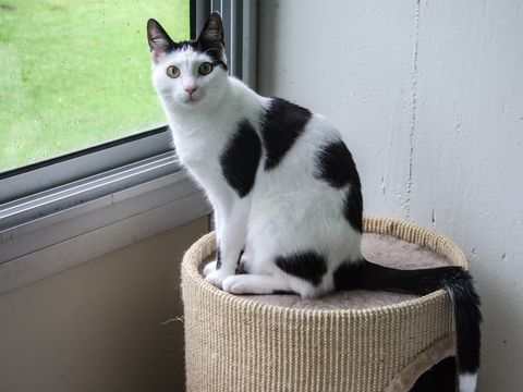 Layla kompis aug 16-2