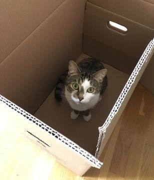 Tigger2-Tajger aug 16-3