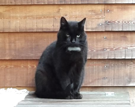 Örjan sep 16-3