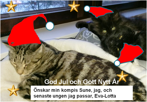 Birger dec 16-2