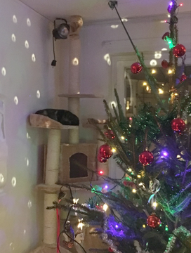 Mamma Bruna dec 16