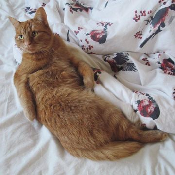 Dennis 2 jan 17