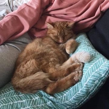 Dennis 2 jan 17-3