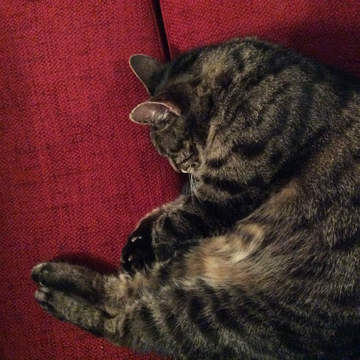 Inge 2 feb 17-2