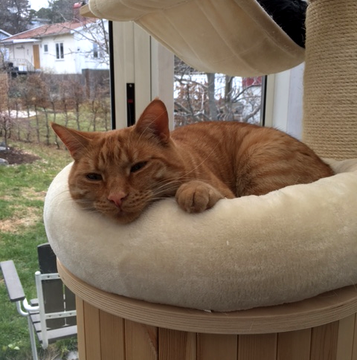 Kenan maj 17-2