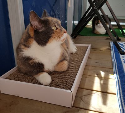 Heily-Chloe 2 jun 17-2