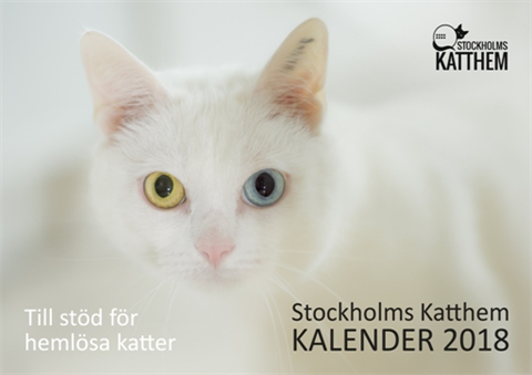 Kalender 2018 hemsida