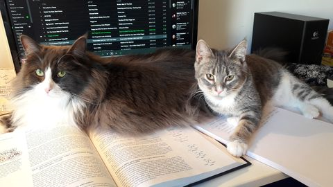 Leonardo sep 17-3