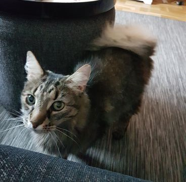 Todd sep 17-2