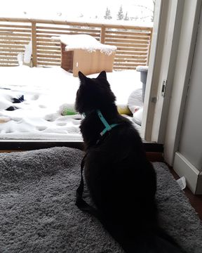 Fergie jan 18-3