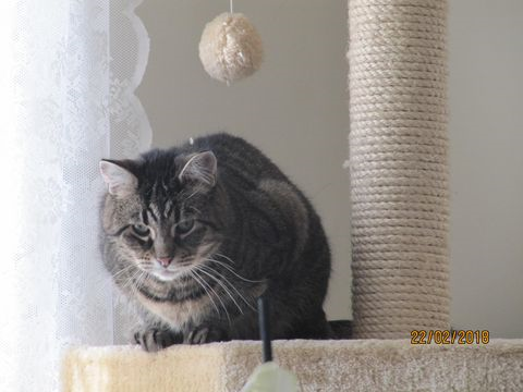 Mila-Cabrini juli 18-2