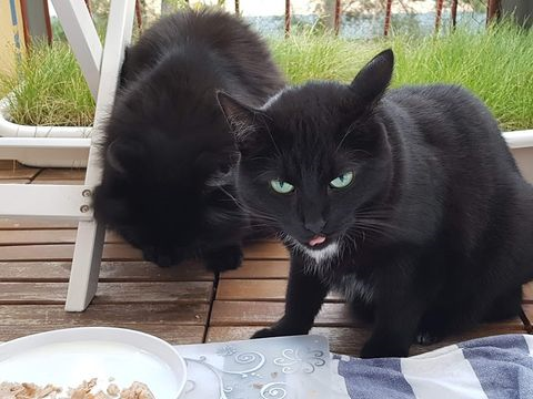 Mini-Mina - Imina juli 18