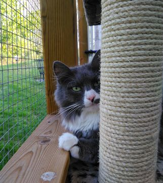 Inge aug 18