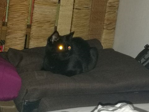 Wilbur okt 18