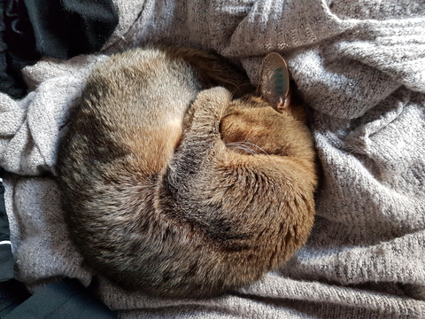 Elsa 4 jan 19-4