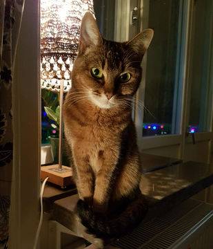 Elsa 4 jan 19-2