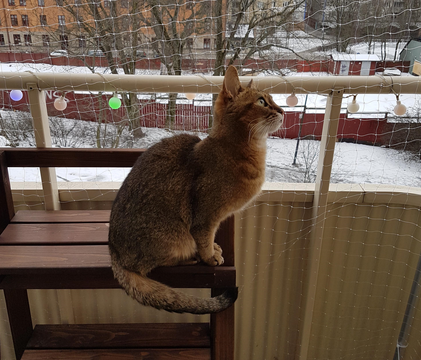 Elsa 4 jan 19
