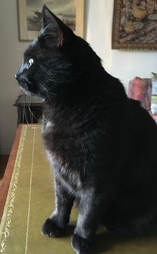Palmer jan 19-3