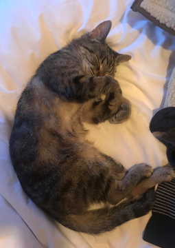 Maya 2 feb 19-4