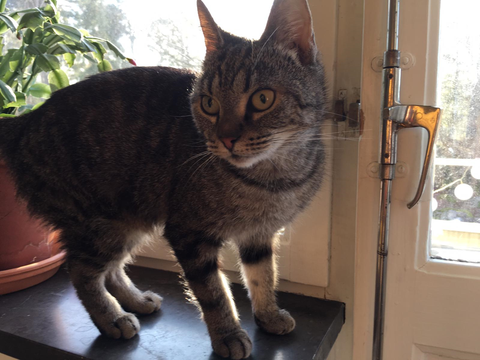 Maya 2 feb 19-3