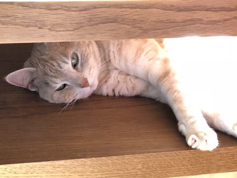 Tiffany mar 19