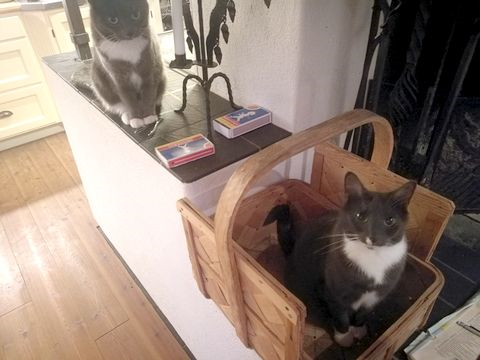 Arya och Maja 6 aug 19