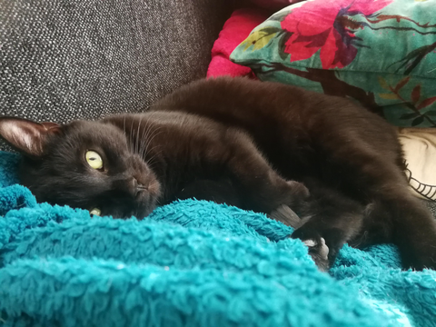 Isildur aug 19
