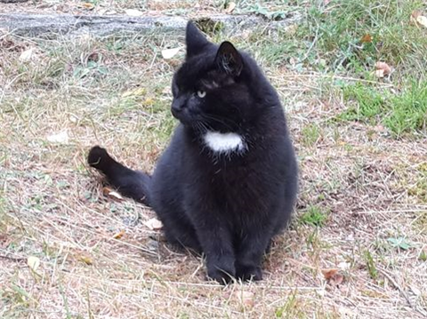 Örjan sep 19-3