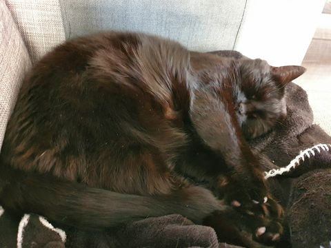 Mowgli nov 20
