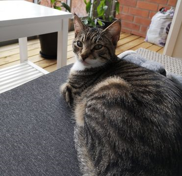 Nicolai Norabel Zanji maj 21-4