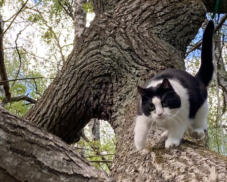 Ann-Charlotte jun 21-2