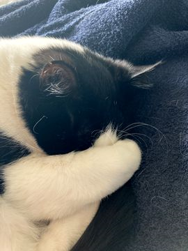 Ann-Charlotte jun 21-3